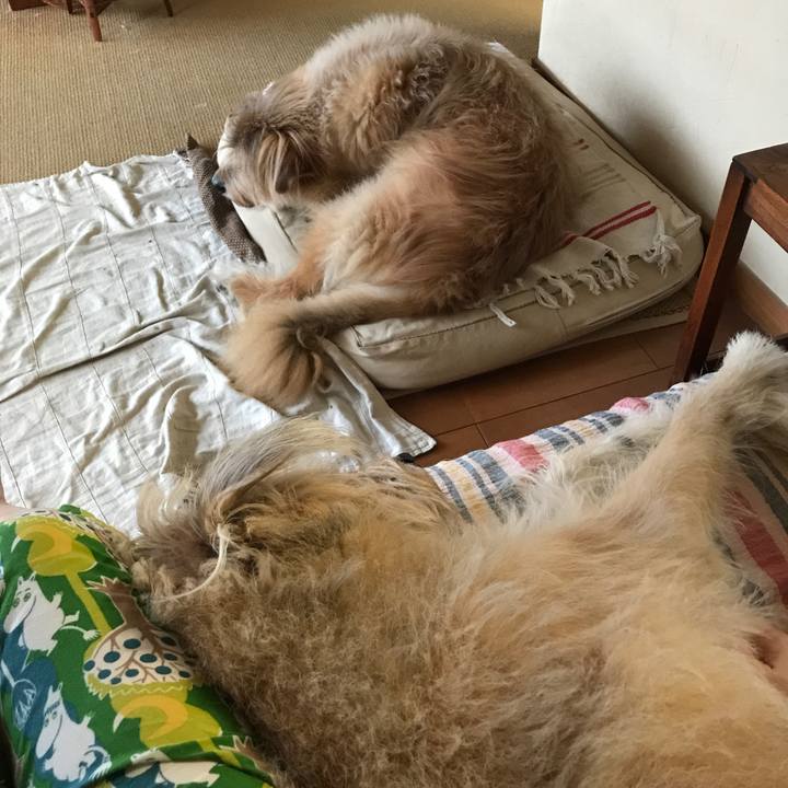 59e87d2b 79ec 4652 8fab 1bdcda5bbe2e 1570834598656