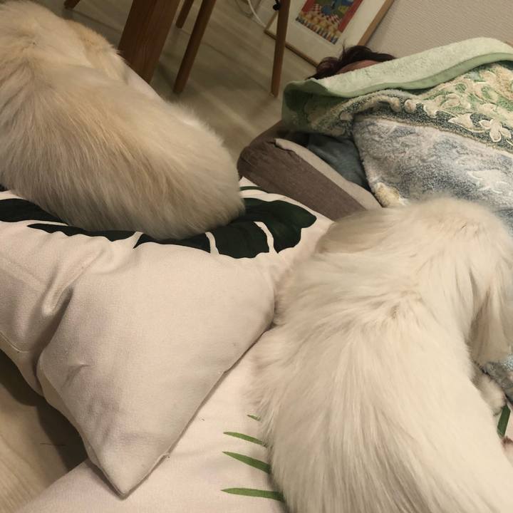 59e8b2d3 f6f6 4c86 a692 c4a4d75907f4 1541509055862