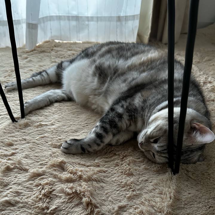 59e8b79b 655a 4f03 ba97 cbe9a50e03c9 1762646637321