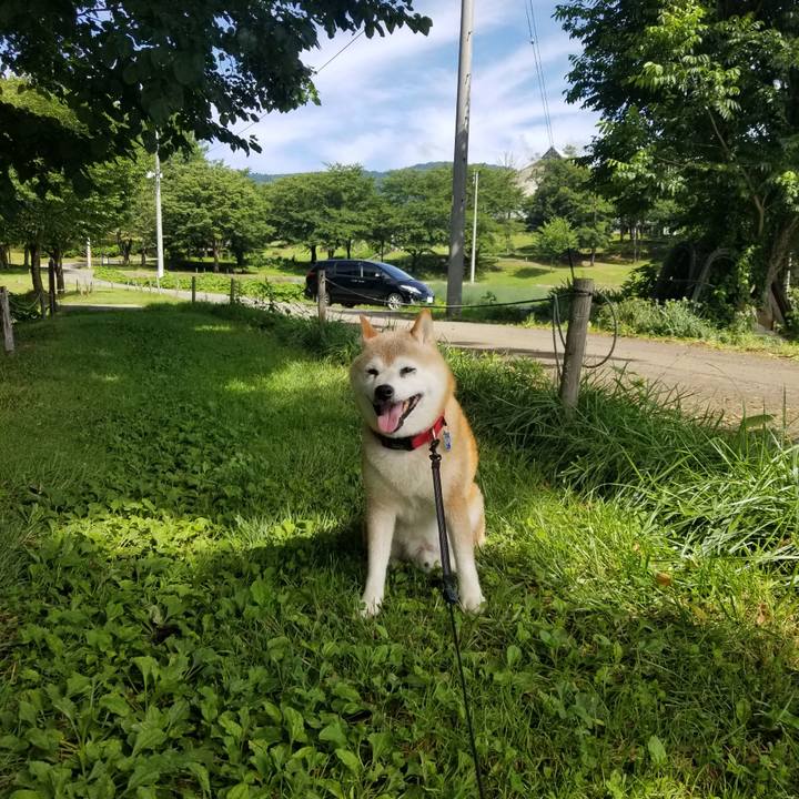 59e8d09a 487e 447b 8146 7bf73ac9fbaf 1721261540229