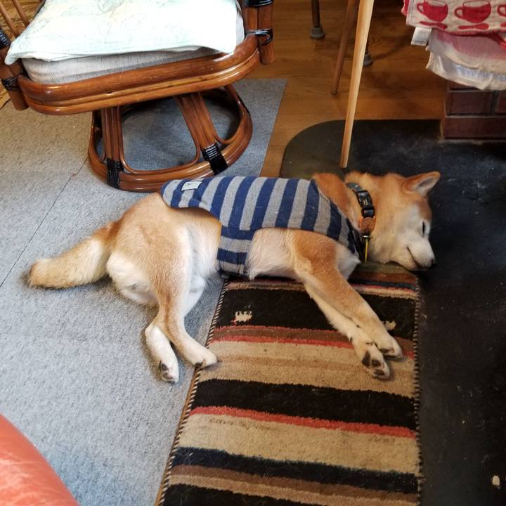 59e8e4f1 6fb2 42f9 bccd 47d5be775f92 1581378432376