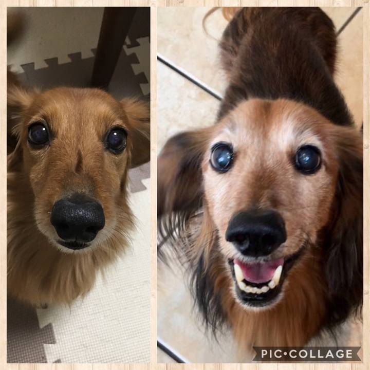 59e8f7f5 c477 475f ba40 e08a98655789 1519825332322