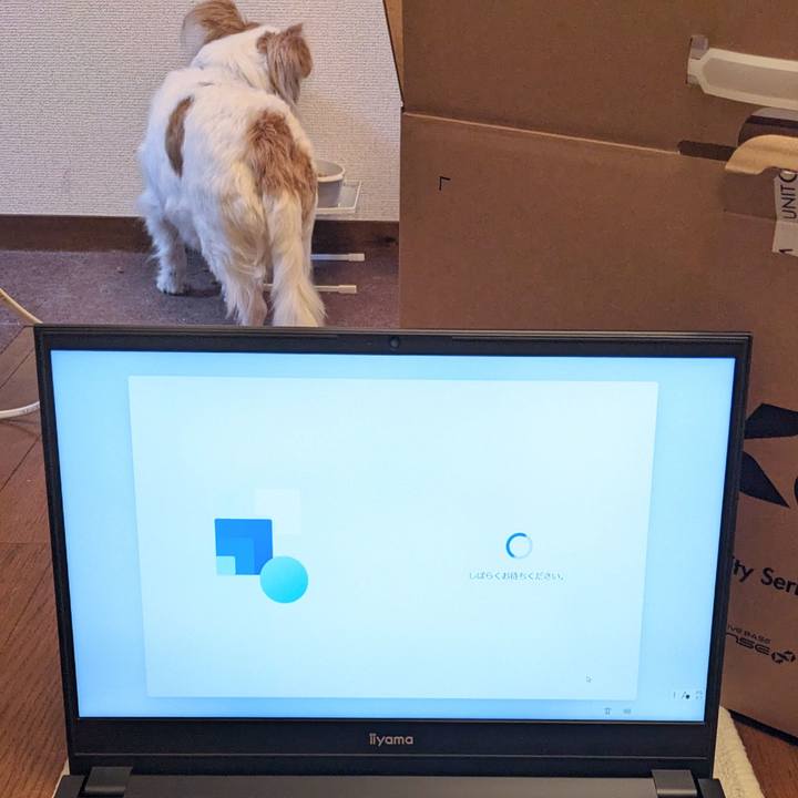 59e97a56 2009 46e5 9dd8 7e552f611d4f 1685455738420