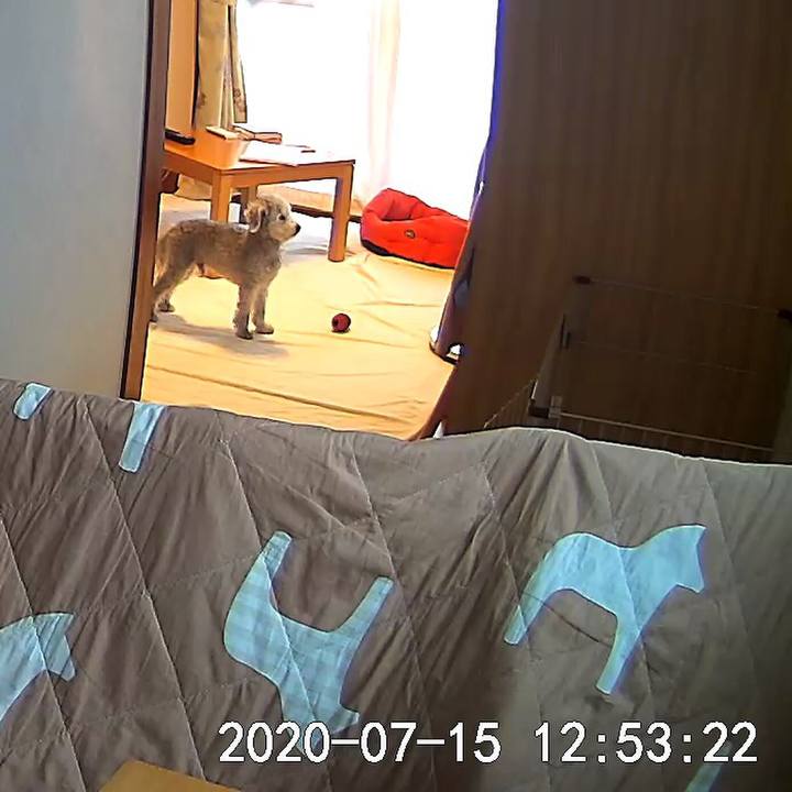 59e9901d fcdc 4bd3 b8fb 11ab07216747 1594785316026