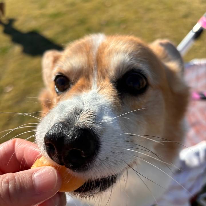 59e992a8 814c 442d 9967 735506ae6f12 1763799887208