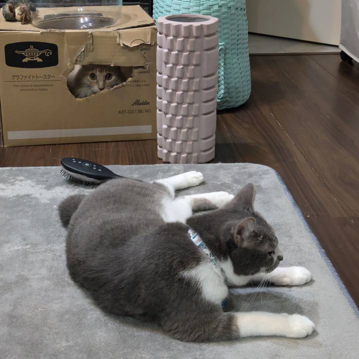 59e9c238 8616 44ed b418 f98ac219db39 1728042633028