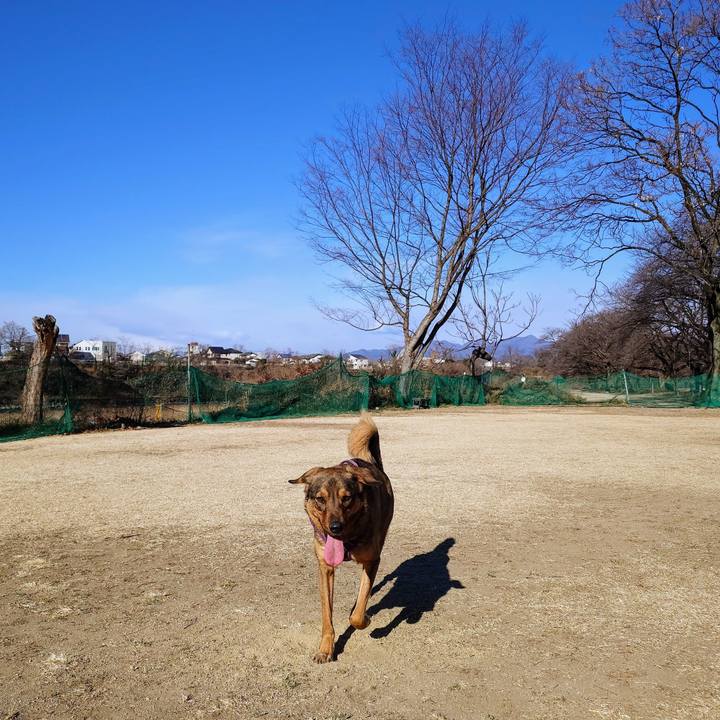 59e9cf85 e5ba 4720 8fd8 019fdcb3db96 1740185580099