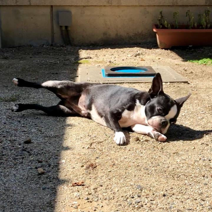 59e9e445 2629 42f8 93ae 8b9c2ebd06a6 1532220514609