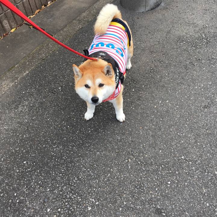 59e9e929 e69d 4a48 8c40 e27a1af45090 1582951708047