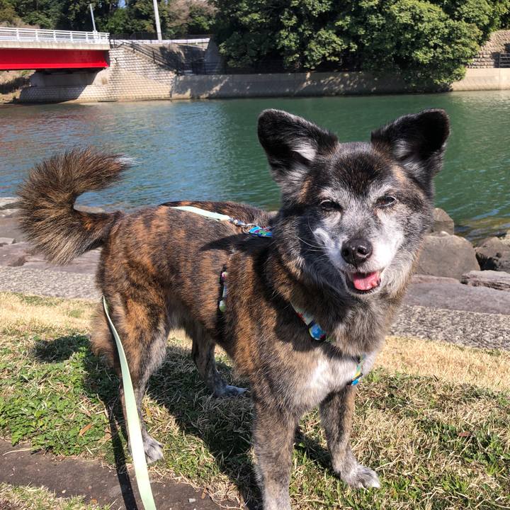 59ea0beb 0c1d 4926 8486 10a2d3c51fb7 1712044590181