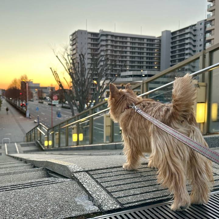 59ea2525 fe10 4dd8 9ae5 e26595dc1693 1738134876128