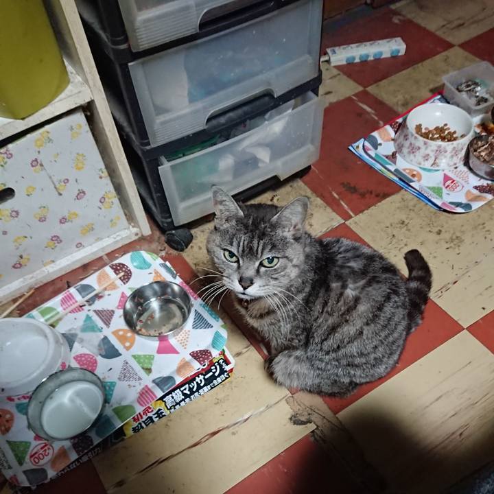 59ea3164 e0af 41fb 9d46 18dd99d43129 1588106651157