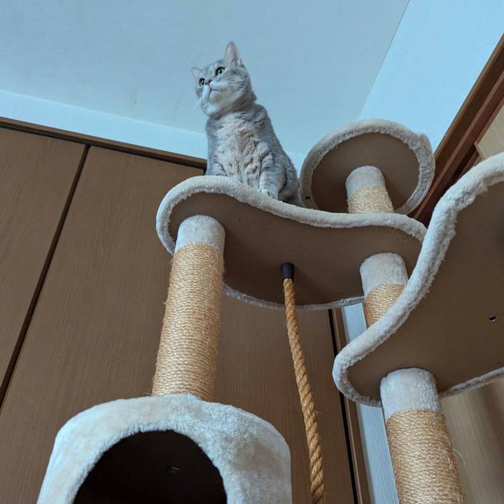 59ea95a7 e360 48bd 8674 b7ef886f989d 1757059349153