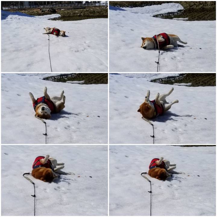 59eac30f d66e 4aa8 b66f 70441eeaf314 1552877125054