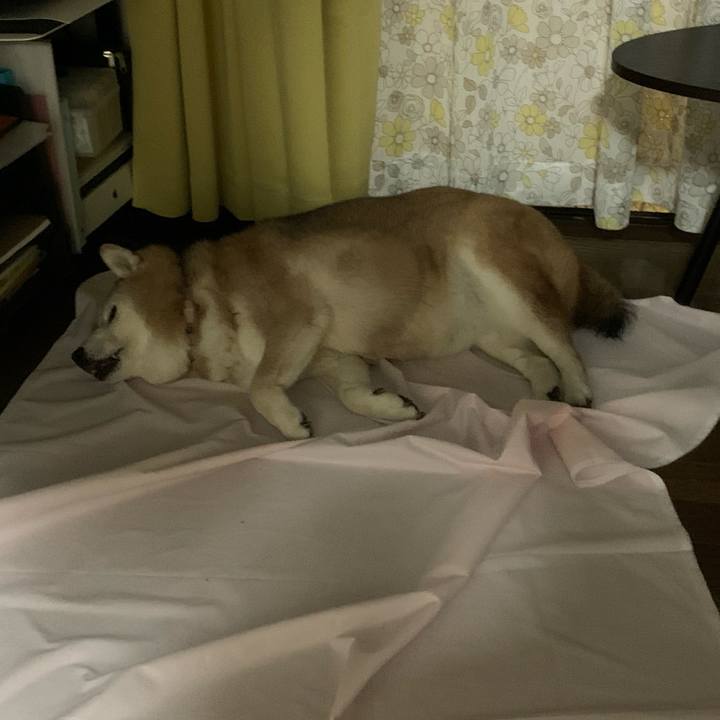 59ead254 19af 40b1 b258 1151c5a48369 1664634165550