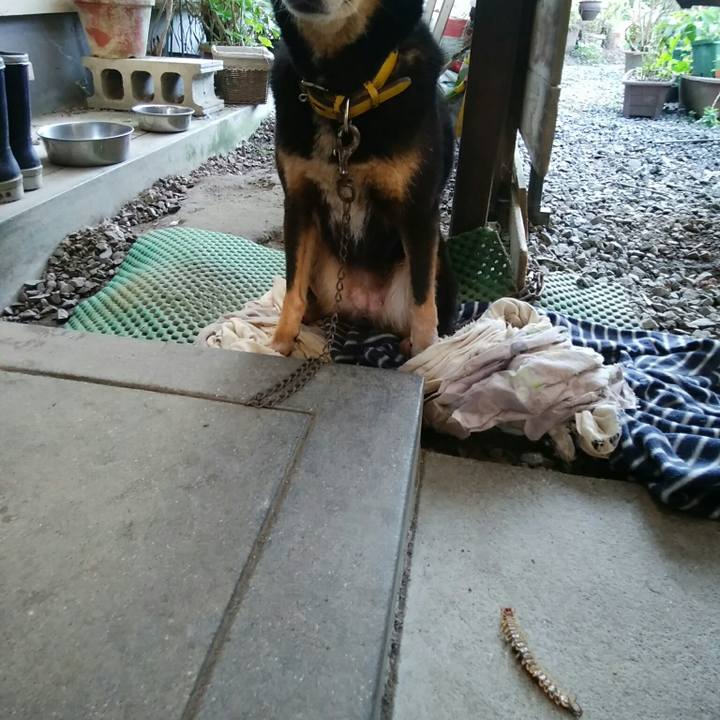 59ead409 daed 48e9 8c5e 392a63e97c10 1537139129300