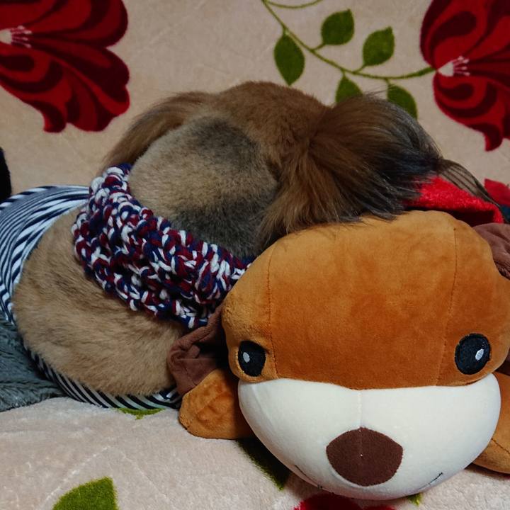 59eadf96 9f88 419f 8efd 35154f592dc3 1547728134925