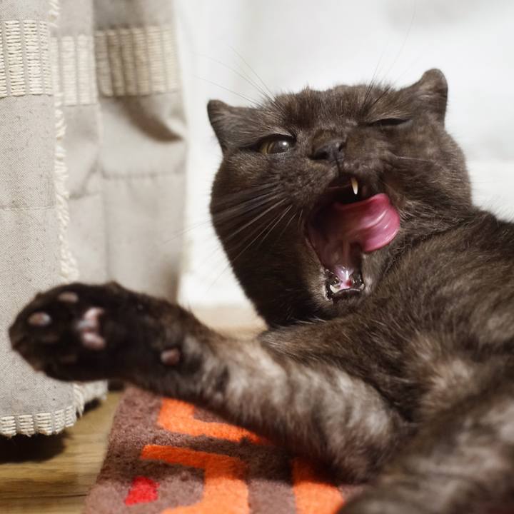 59eaf04b df64 472c a2d9 01e3ddca6c5d 1597753994931