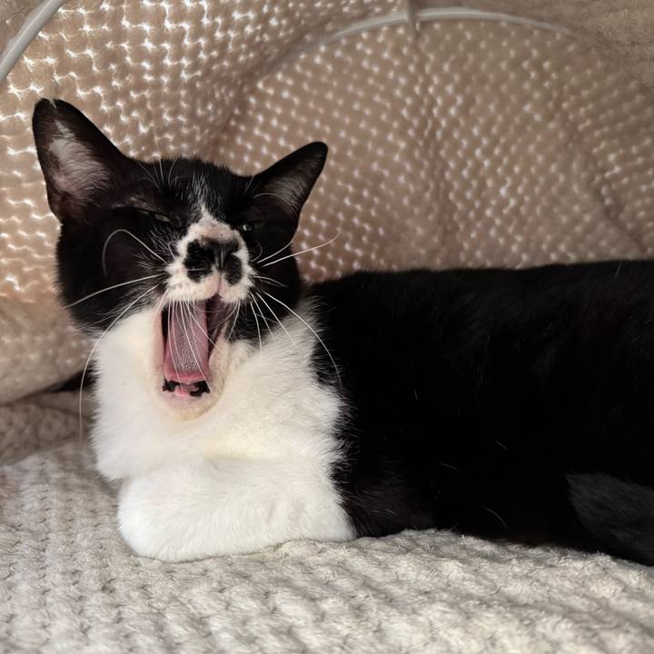 59eaf19c 0b11 4de5 a6c6 ef4ab626a7b0 1747961203010