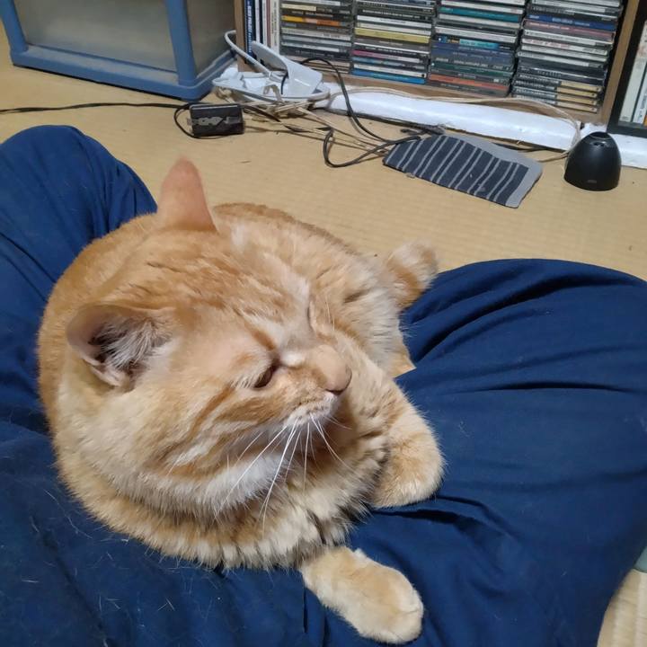 59eb0a32 4f59 4dae a994 468eaba42fe1 1684834556613