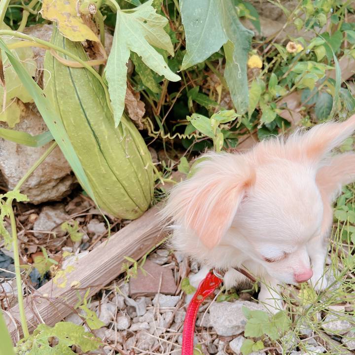 59eb1cc1 7eaf 4018 b056 a768593ab103 1665302521254