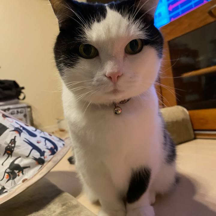 59eb20a8 0bf8 4331 9cbc 0dc72f512ce0 1768176919180