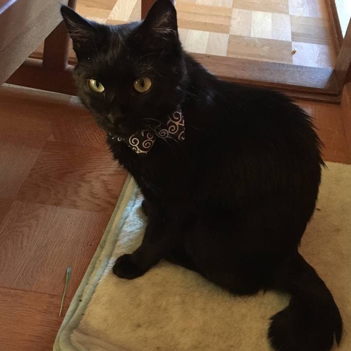 59eb3ab8 ffd4 43ee bd7d 5e8d66fb2e90 1536134395434