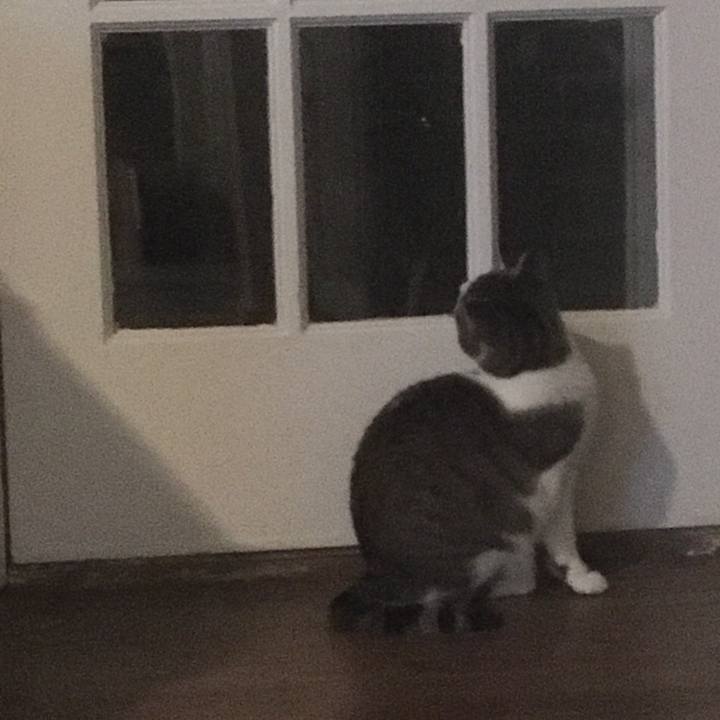 59eba5dd b683 4515 94ba 5cd9970257a6 1651279673136