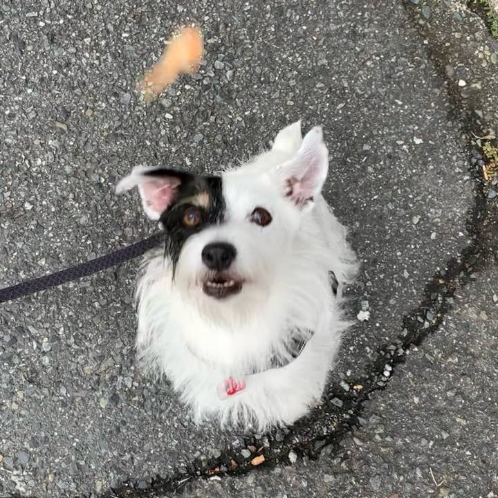 59ebb208 5a82 4372 816a d04713b1c0f9 1696115000844