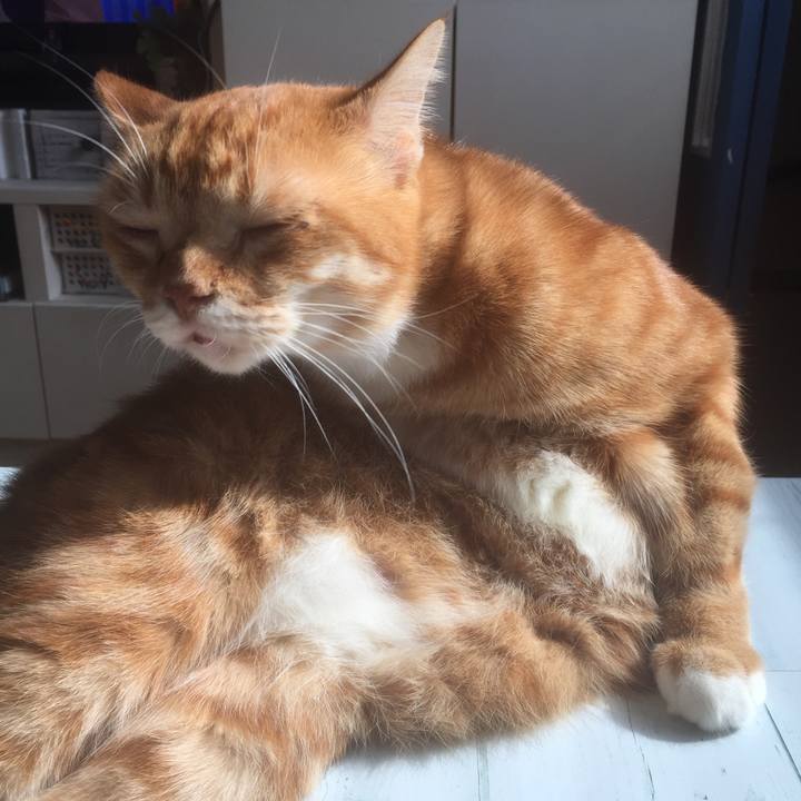 59ebcddc 74f3 4962 aba9 d59dfe43e511 1572745093211