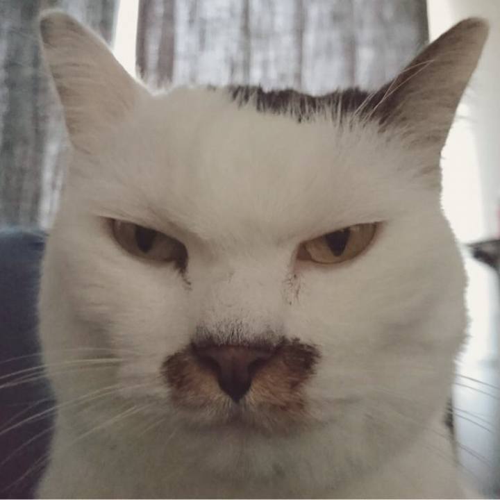 59ebf2d7 ec26 4458 8a7e 0e5ff0cd6590 1539835344115