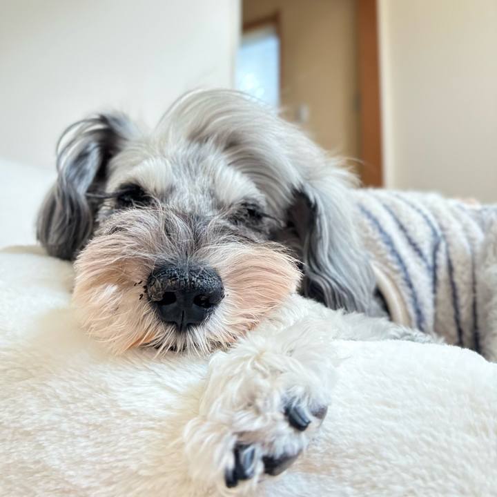 59ec1463 1de7 40b4 8f60 f067e4aef31f 1762841211796