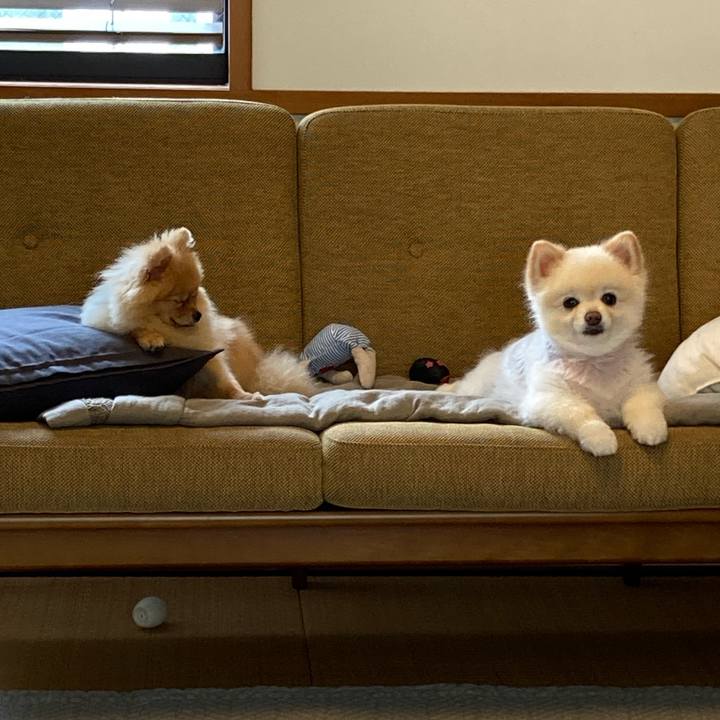 59ec1e9f 0273 4bc3 b644 c5bad880d2c5 1660451699618