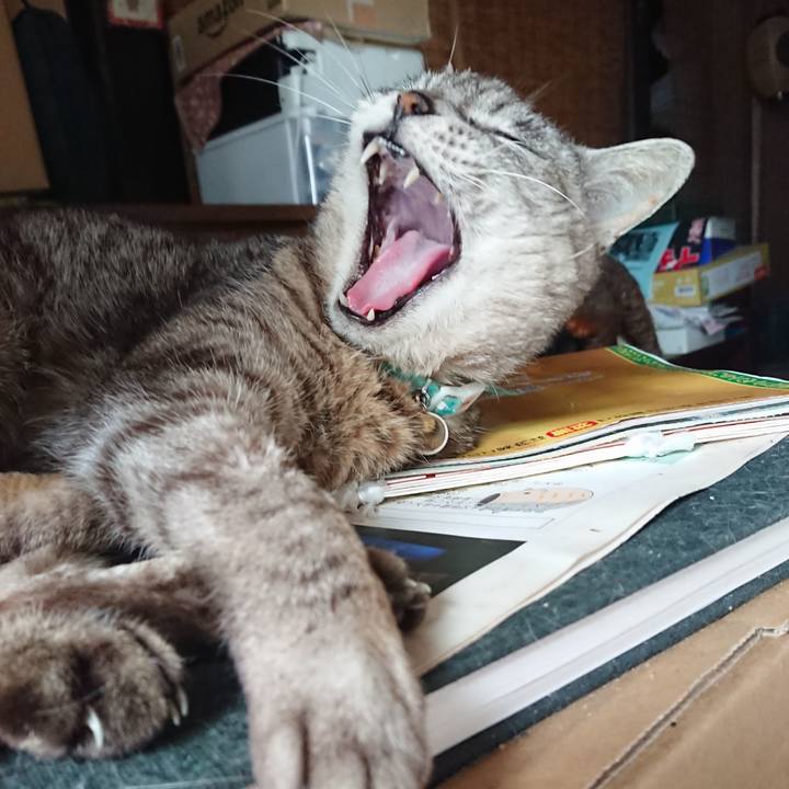 59ec2164 511c 4a0f 9da4 b51edf0b1cdf 1563151947976