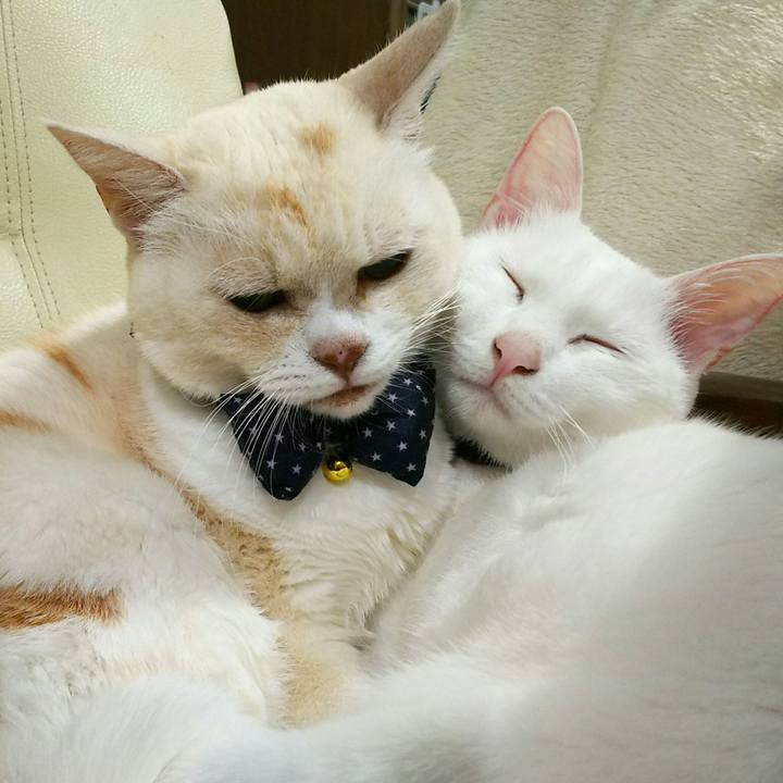 59ec22c0 4b99 4854 b985 d211f9f37289 1544456137028