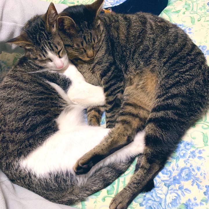 59ec34b5 b052 4864 bde5 04ed549470f6 1555459653520