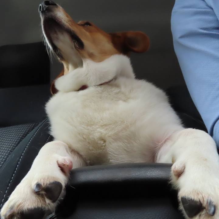 59ec3c44 befa 4ebd a173 73fc3a7cde15 1631839208490