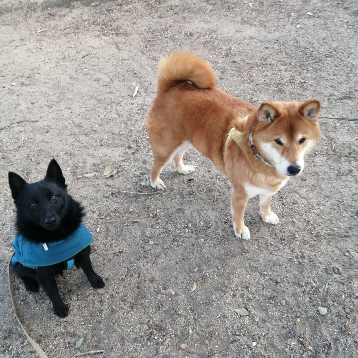 59ec56d9 5942 452f 81de c93b8444eb30 1644533679089