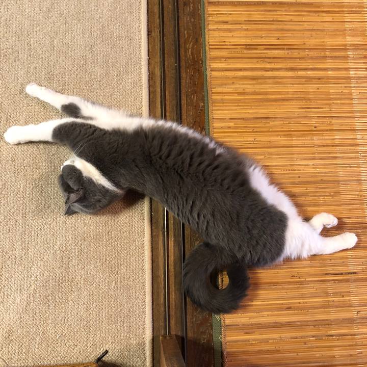 59ec8fb1 c885 4fff a324 e8dd769fae98 1565768155804