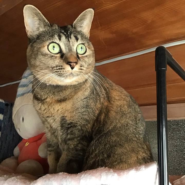 59eca199 ceda 4996 97da f48c4384cb24 1733970088013