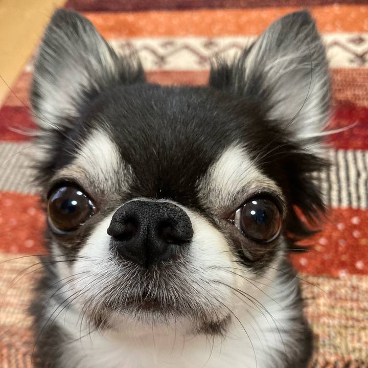 59ecb9a6 486c 43a6 999b bbf68194a6be 1673651793427