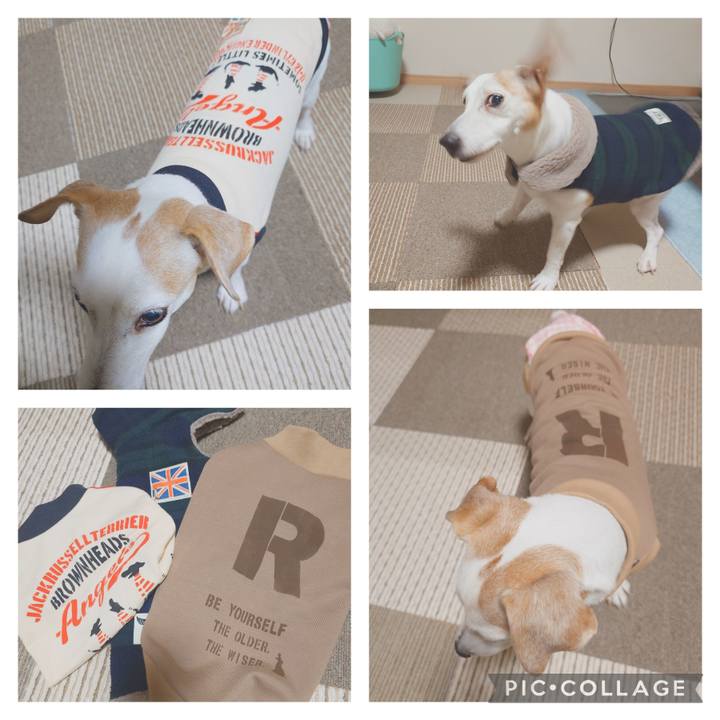 59ece961 895c 40df aa65 1ca4c7d39d16 1766964377887