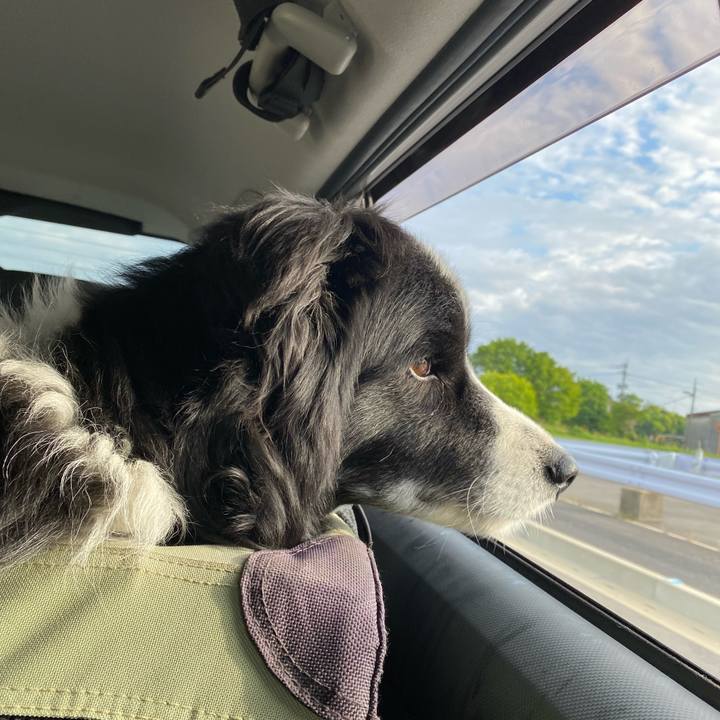 59ed13a8 b853 4ee4 92d4 3d4e8e5d7751 1651788535933