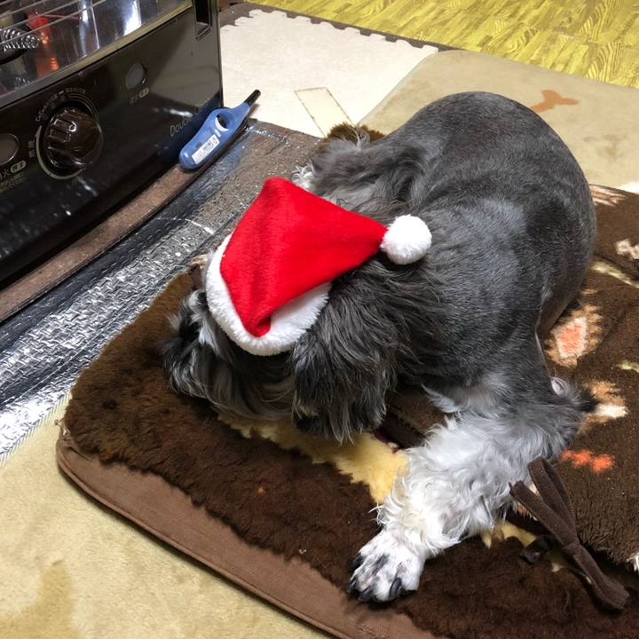 59ed13f9 92cd 417c bc3a f33a2d9cd265 1545618419014