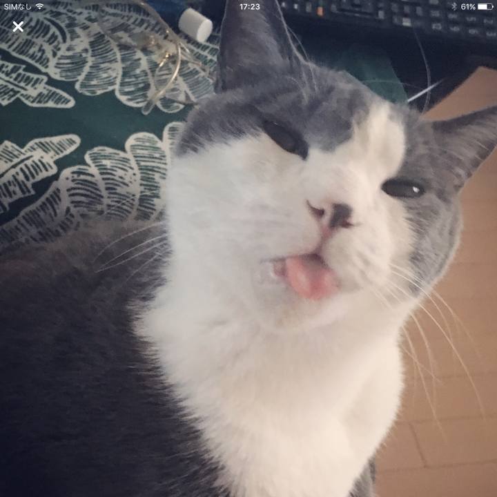 59ed5acc 79ab 4b47 ad3d 986cfd0af214 1514103856216