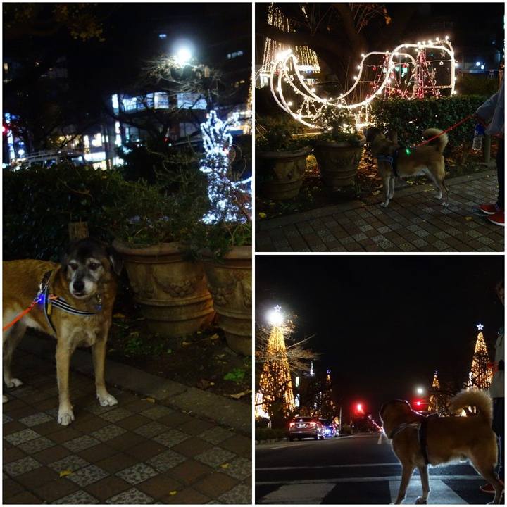 59ed6272 4cfc 4f85 a4a2 cf609330faf1 1544268404973