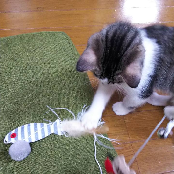 59ed6b35 49e2 40eb a072 9d11f90f6d48 1609849015311