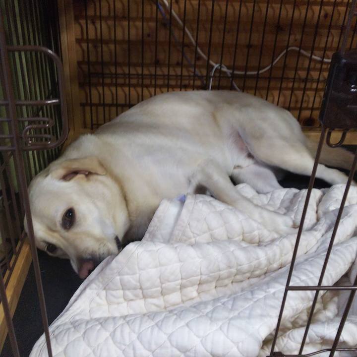 59ed736b f978 4205 8dea 19a44094f926 1561967574732