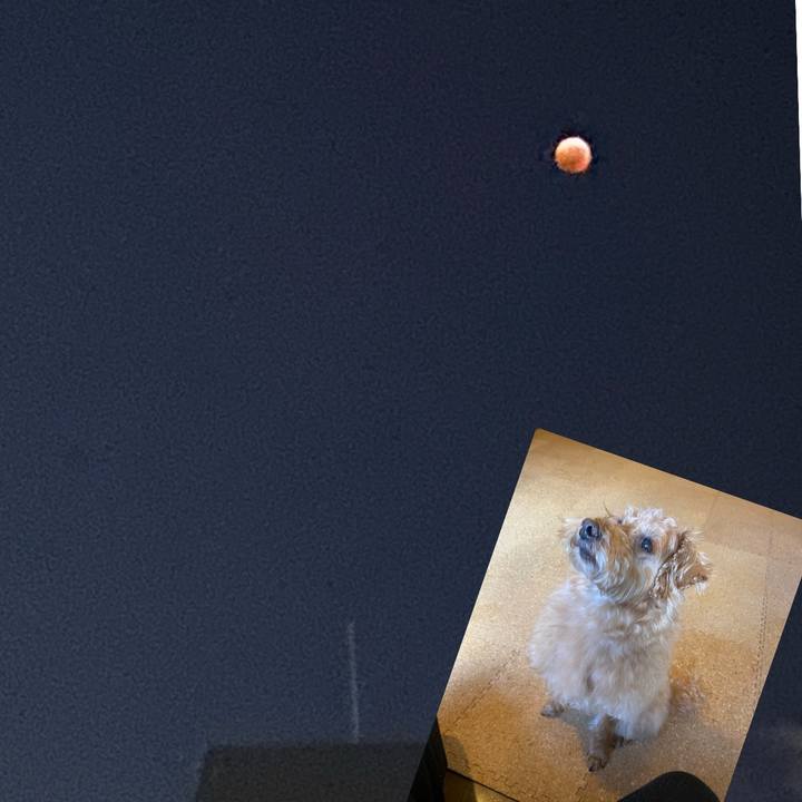 59edde17 41db 4243 870e 6cf48c1333cb 1667902773211