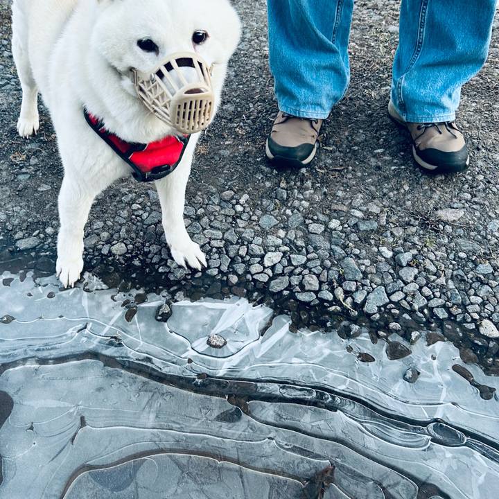 59edfd95 e275 4fb5 9ecd 34ac7e15d1d6 1764628104084